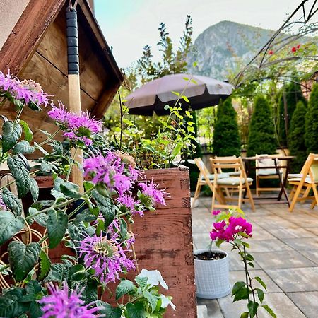 Comfort Luxury Apartments Vratsa 外观 照片