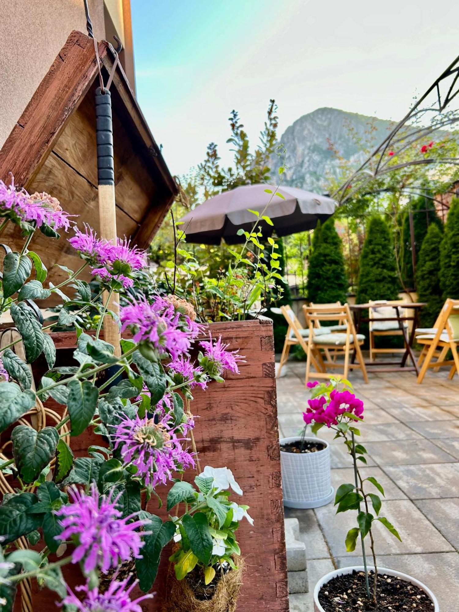 Comfort Luxury Apartments Vratsa 外观 照片